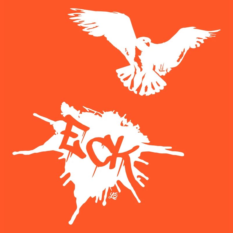 Möwe und Eckernförde