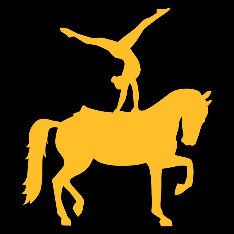 Voltige
