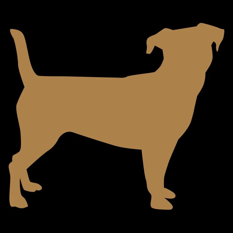 Jack Russel