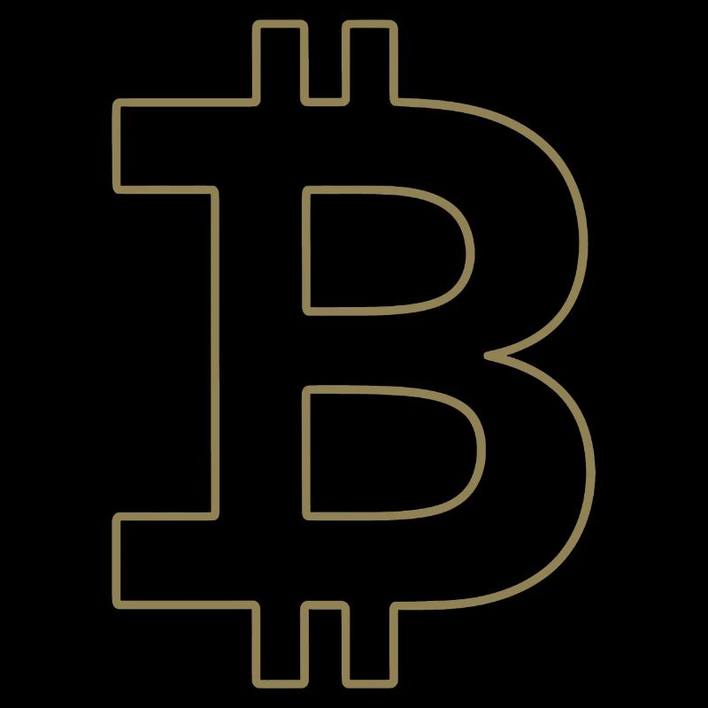 Bitcoin Logo Silhouette Monnaie Numérique