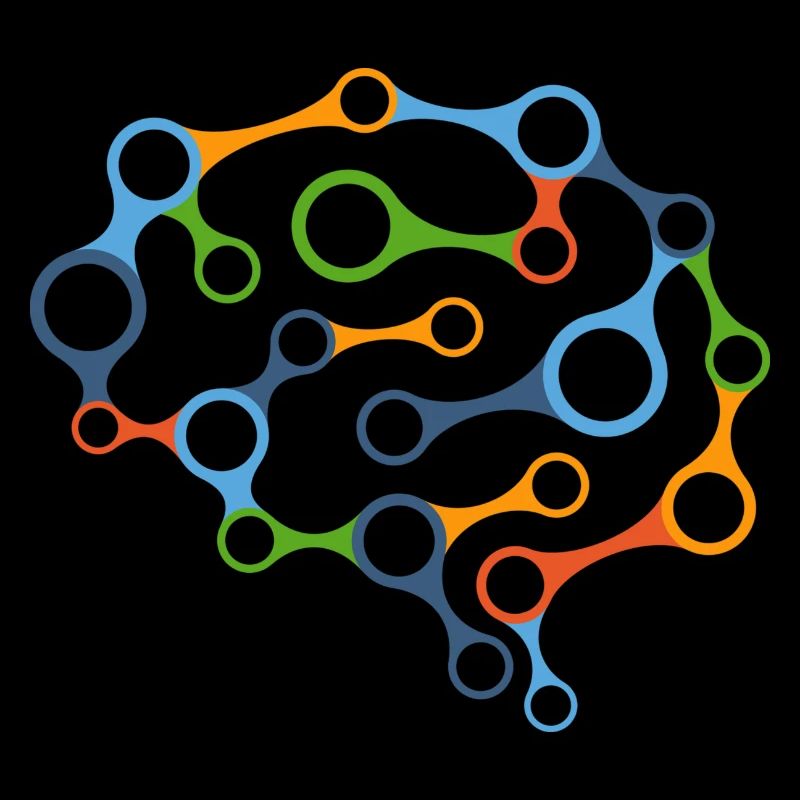 Brain network