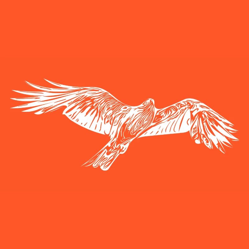 Elegant flying hawk