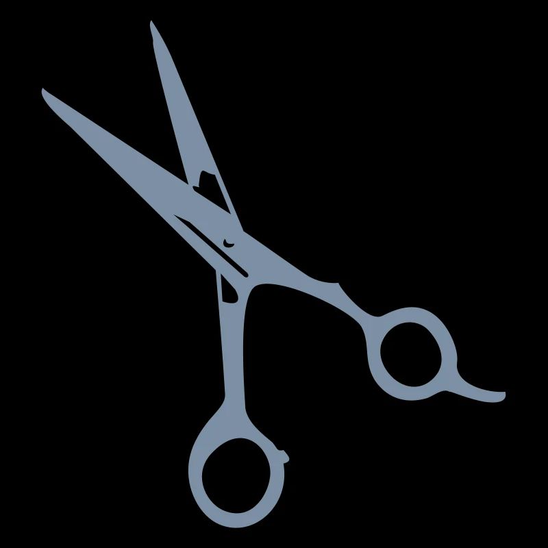 Frisör-Schere / barber scissors (1c)