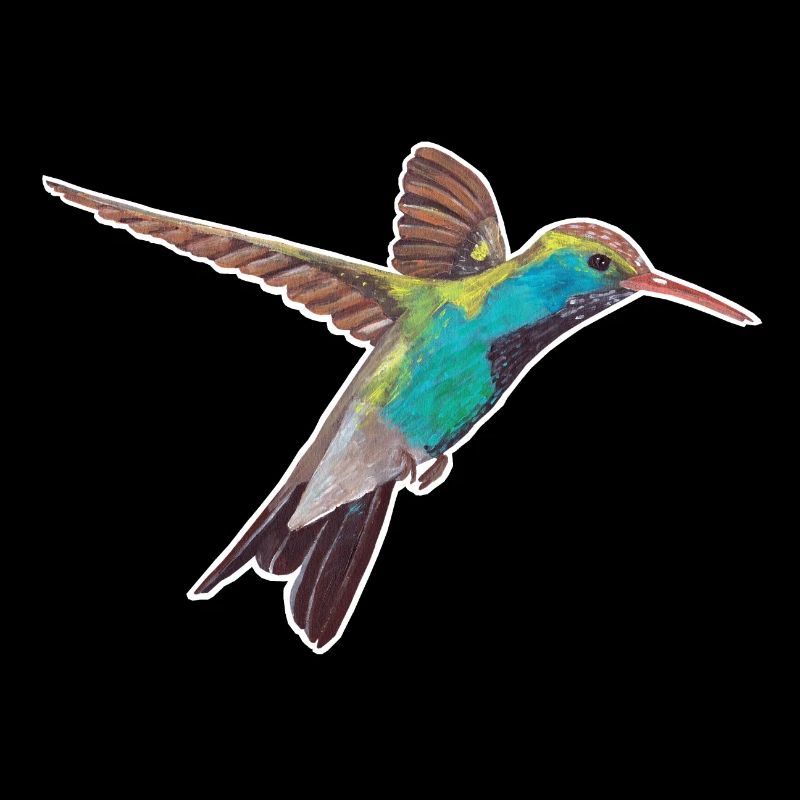 Kolibri mit weissem Rand