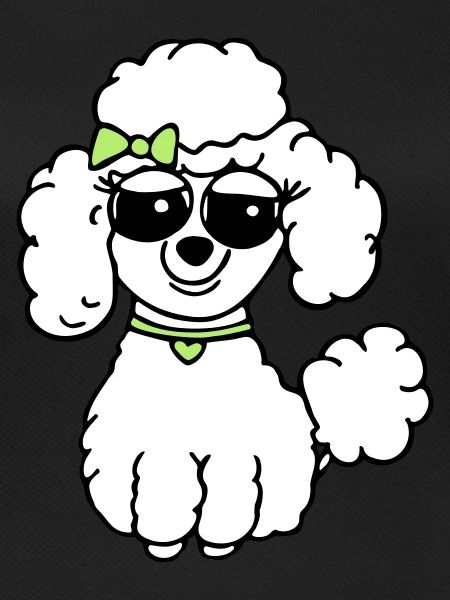 poodle 3