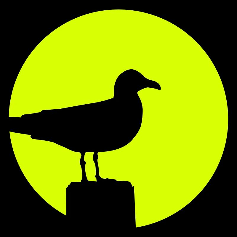 Seagull