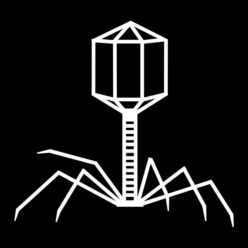 virus