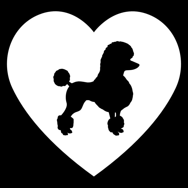 Caniche - caniche à coeur