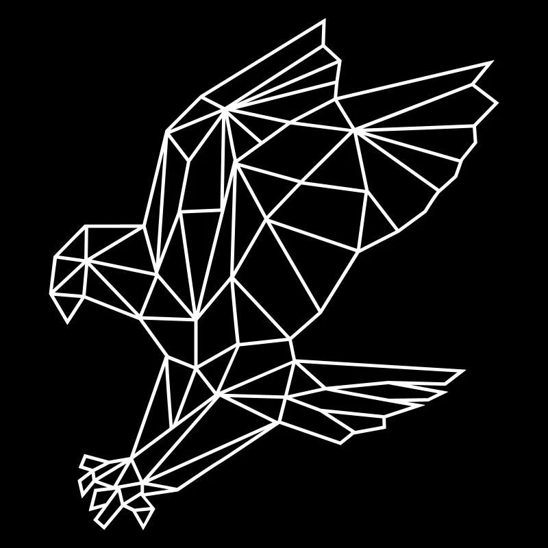Adler | Polygone