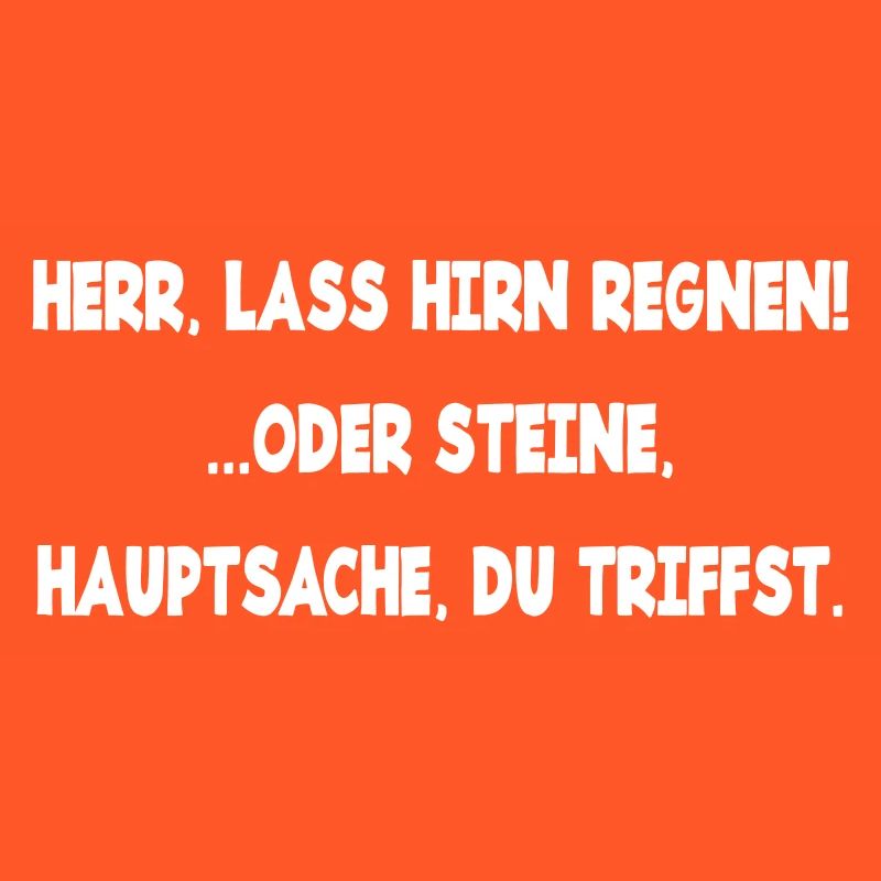 Herr lass Hirn regnen oder Steine genervt Laune