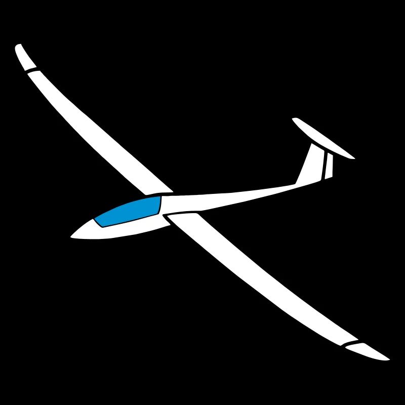 Duo Discus glider gliding pilot plane