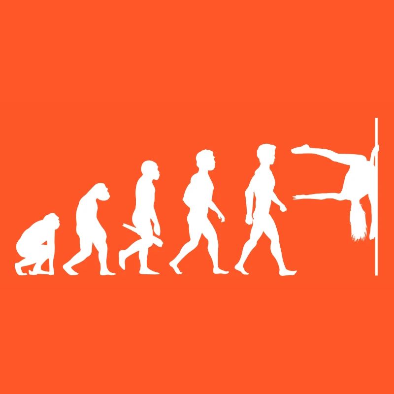 Evolution Poledance Pole Dancing Stange Tanzen