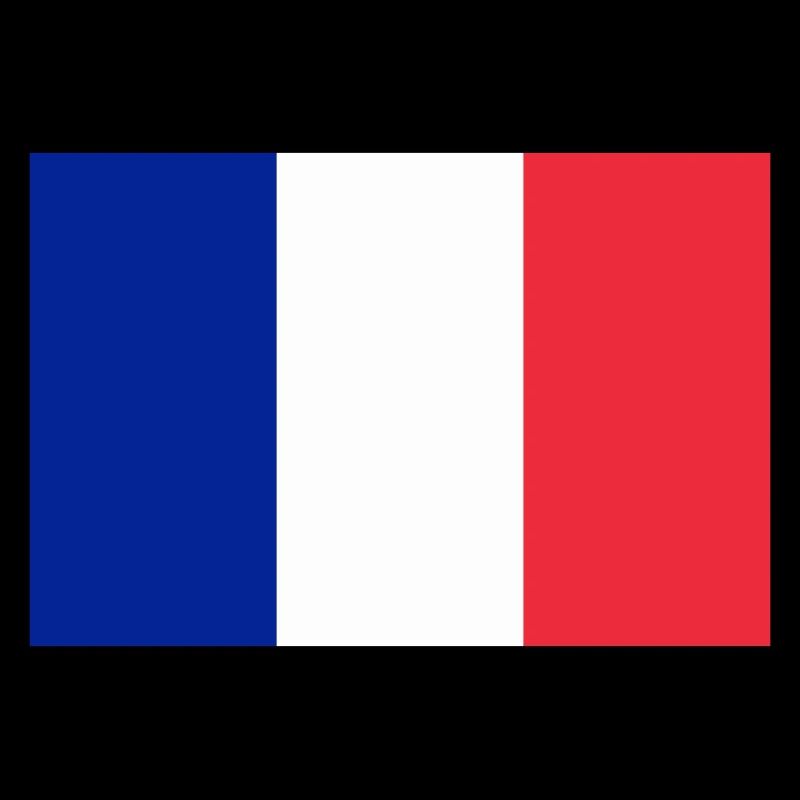 Drapeau français / French flag