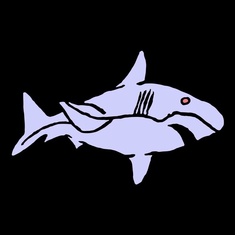 Poisson Requin Prédateur Eau Graffiti Océan