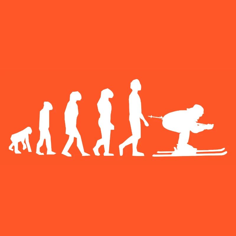 Evolution Ski / Développement
