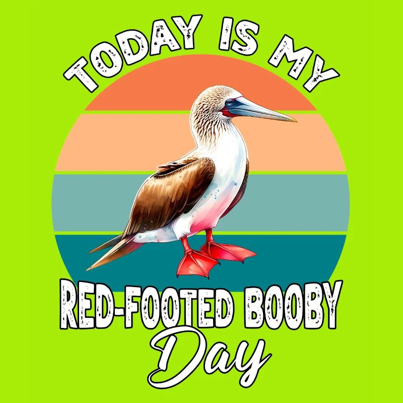 Red-footed Booby