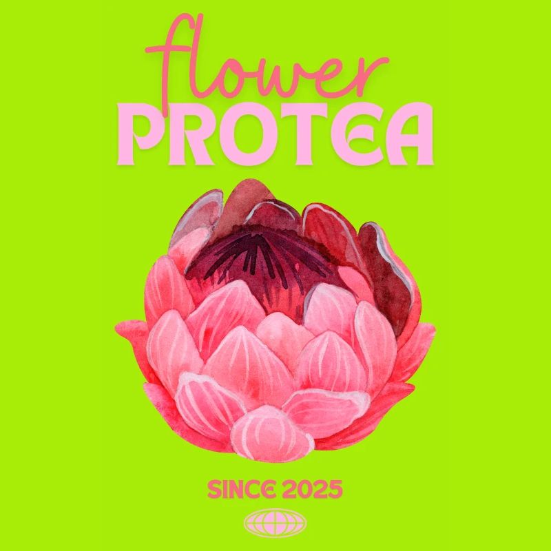 Protea Protea Fleur Proteas Fleurs roses