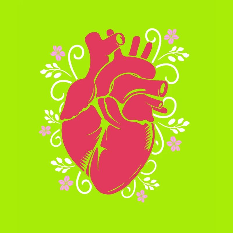 Cardiogram, cardiography, sonography, ultrasound