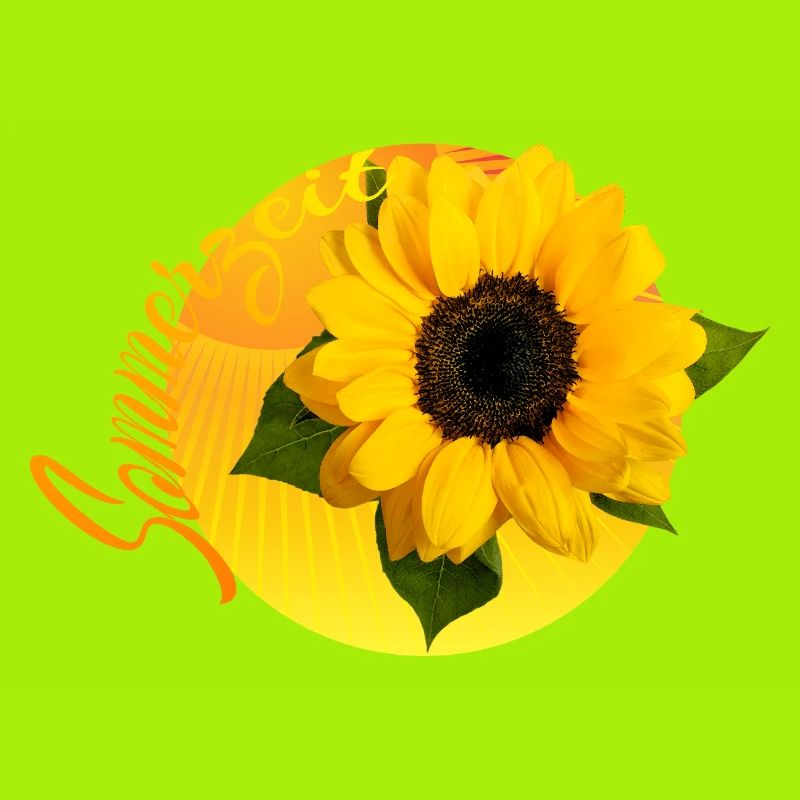 Sun Flower Daylight Saving Time