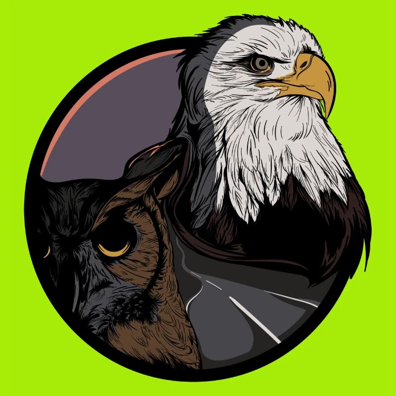 Eagle - forest - owl - eagle owl - highway - road