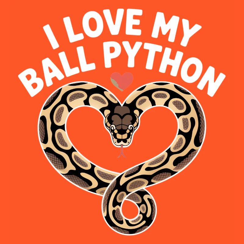 J’adore mon python royal ! Roi python