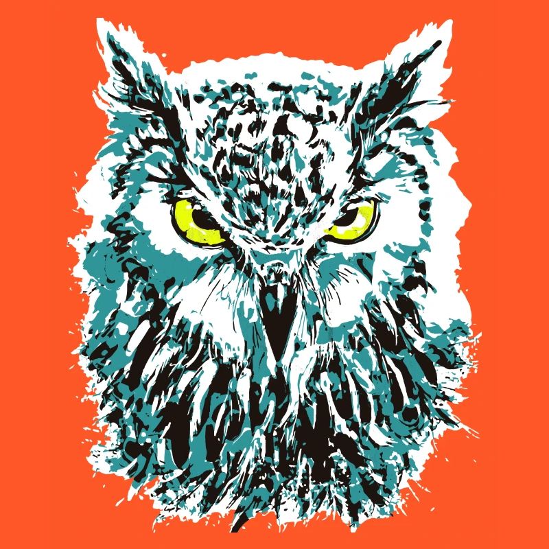 Bunte Eule - Eulenkopf - Kauz - Farbenfrohe Eule