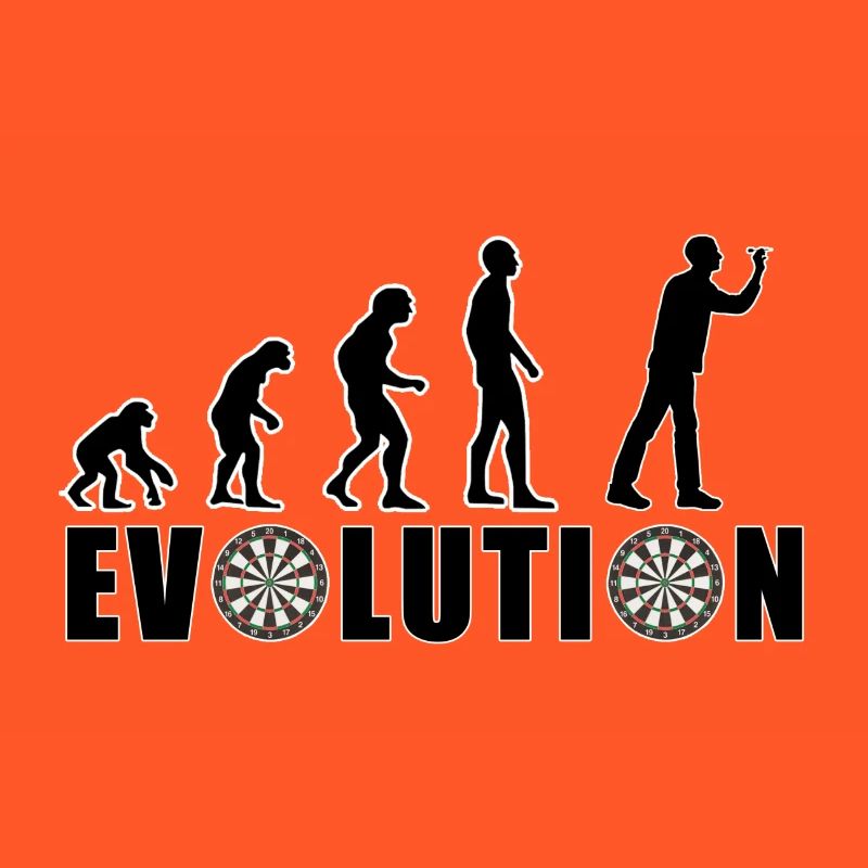 EVOLUTION DARTS Game Arrow Dartboard Gift