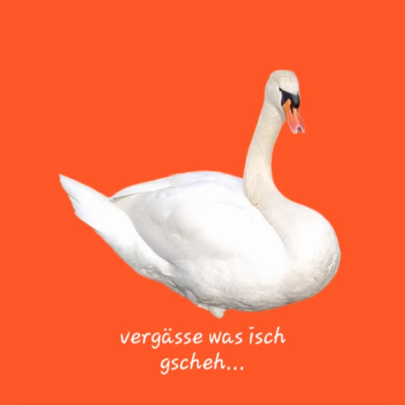 Vergässe was isch gscheh