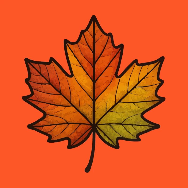 Leaf Autumn Maple Leaf