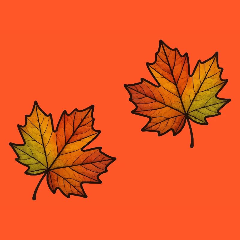 Leaf Autumn Maple Leaf 2