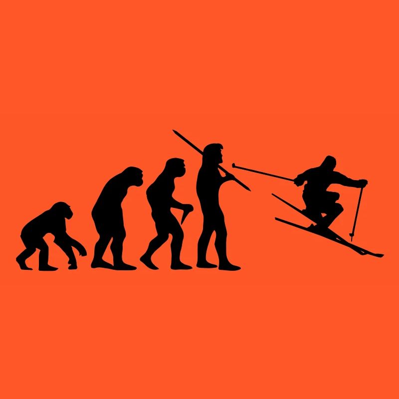 Evolution de ski