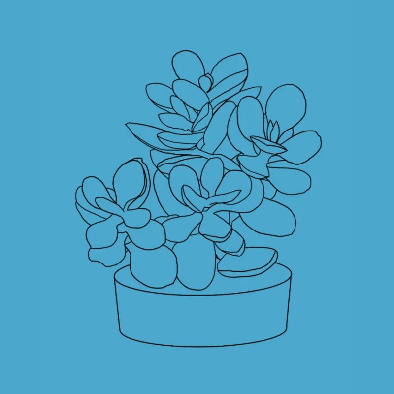 Planter