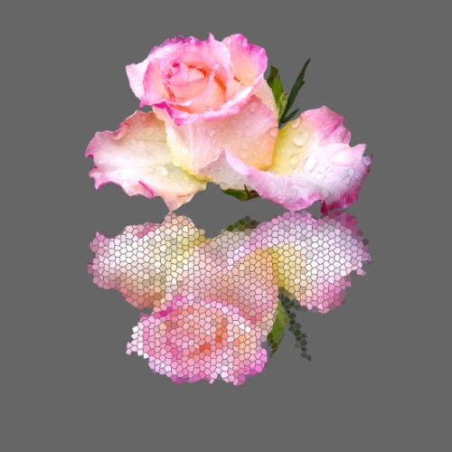 pinke Rose mit Regentropfen im Spiegel, rosa Rosen - Frauen Tank Top atmungsaktiv