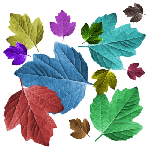 Blätter, bunt, Laub, Herbst, Baum, Blatt, Bäume - Frauen Tank Top atmungsaktiv