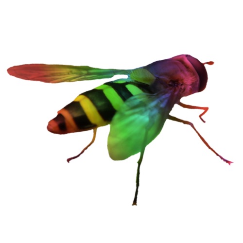 bunte Wespe in den Farben des Regenbogens, Insekt - Frauen Tank Top atmungsaktiv