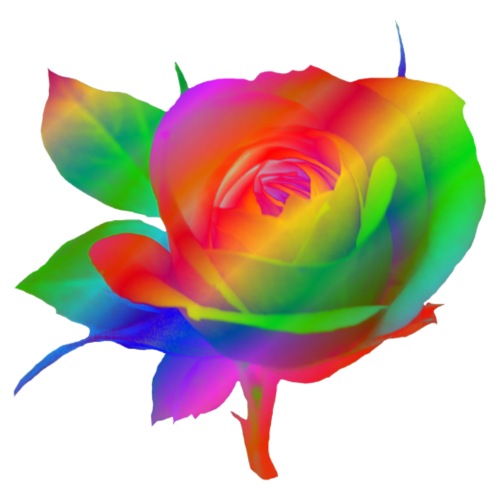 wundervolle bunte Rose, Blume, Blüte, Regenbogen - Frauen Tank Top atmungsaktiv