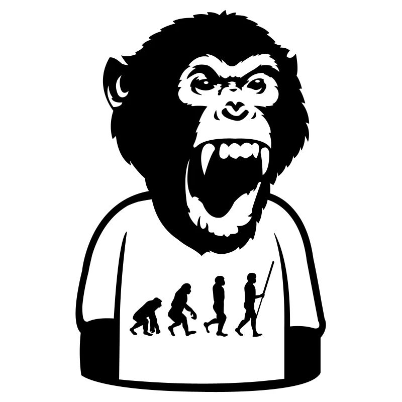 Affe Evolution