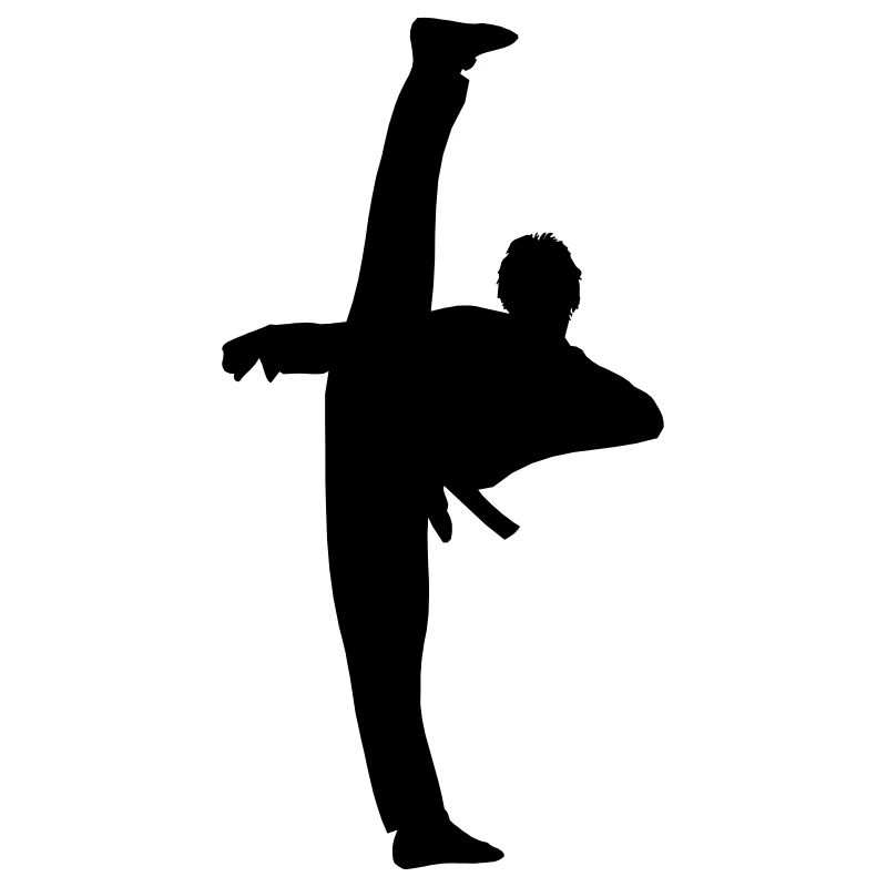 High Kick von Taekwondo oder Karate Schattenfigur