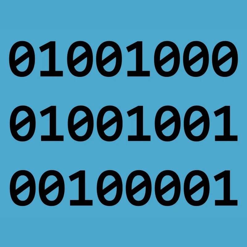 Hi Binary programmers greet each other like this