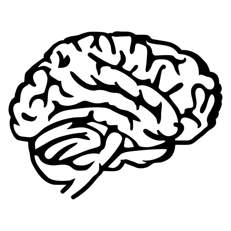Brain