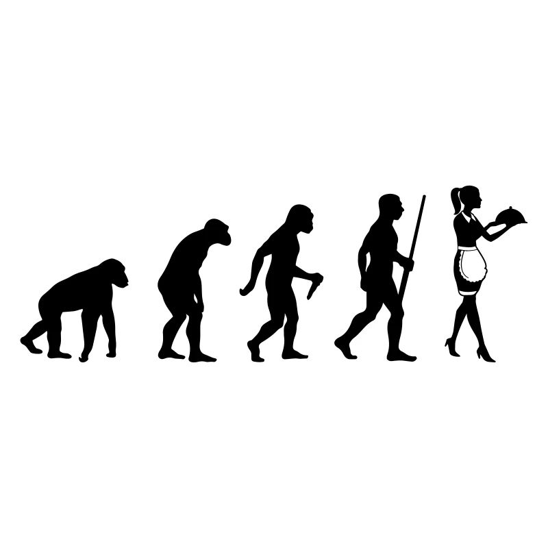 Évolution de la serveuse