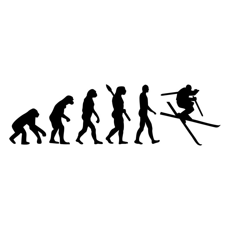Évolution Ski