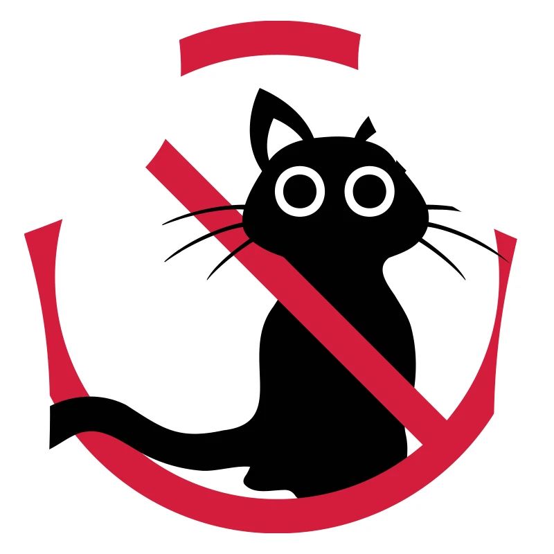 Chat noir interdit