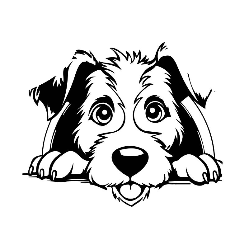 Fox Terrier