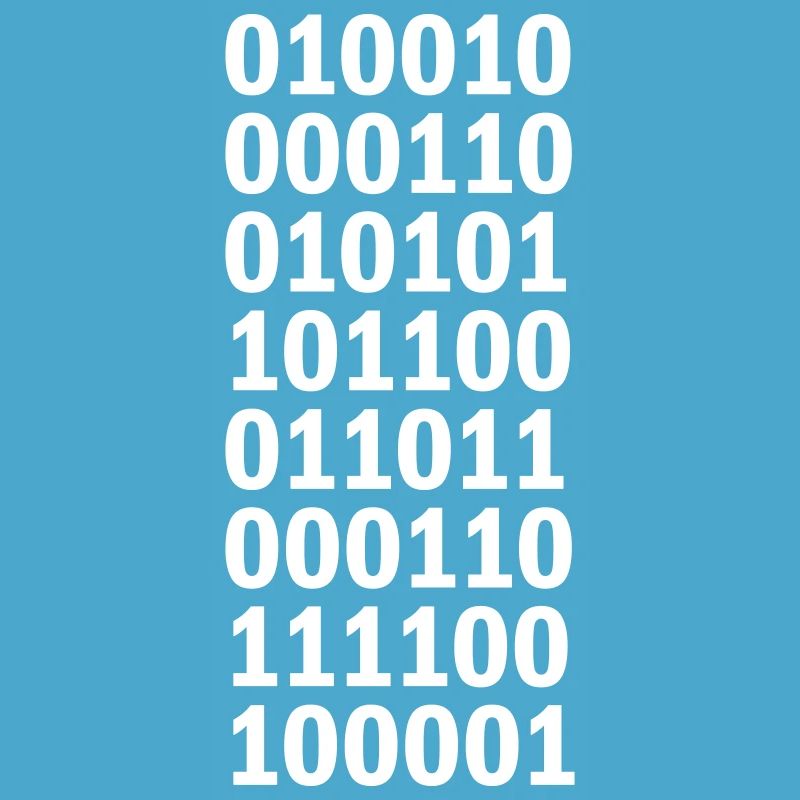 Langage de programme de code binaire