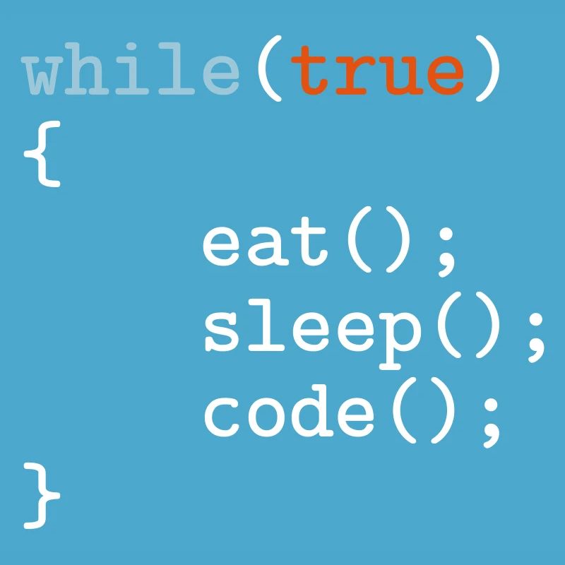 Programmierer, Software, Informatik, Developer