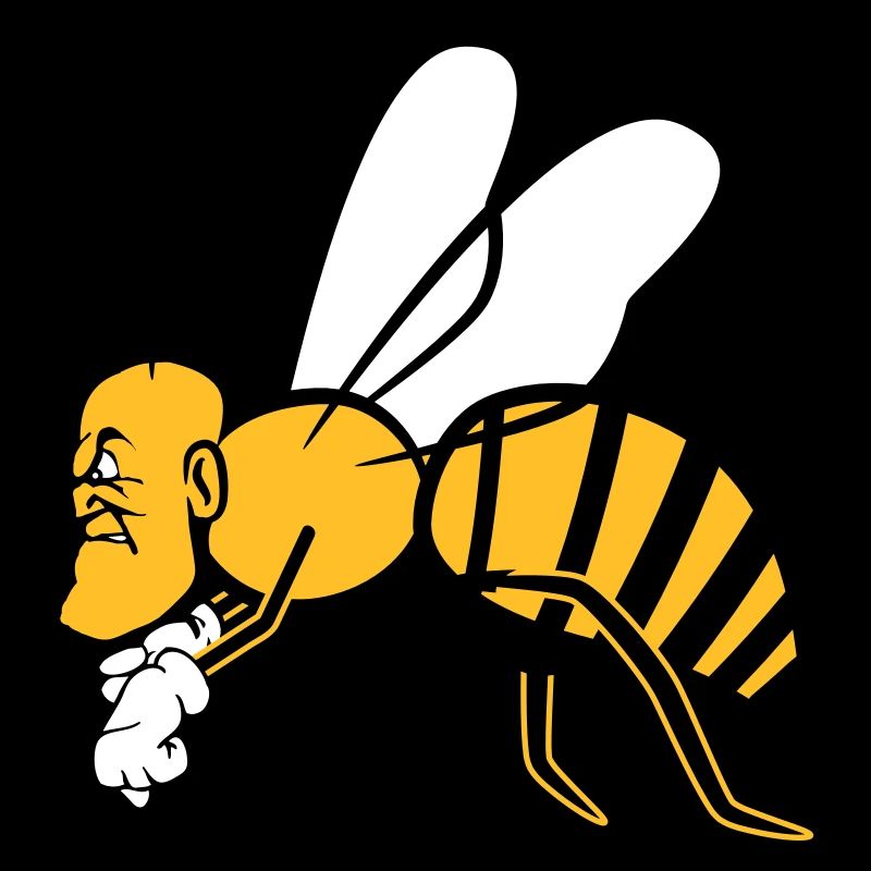 flying bee
