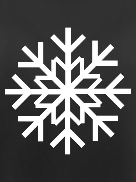 Ice crystal