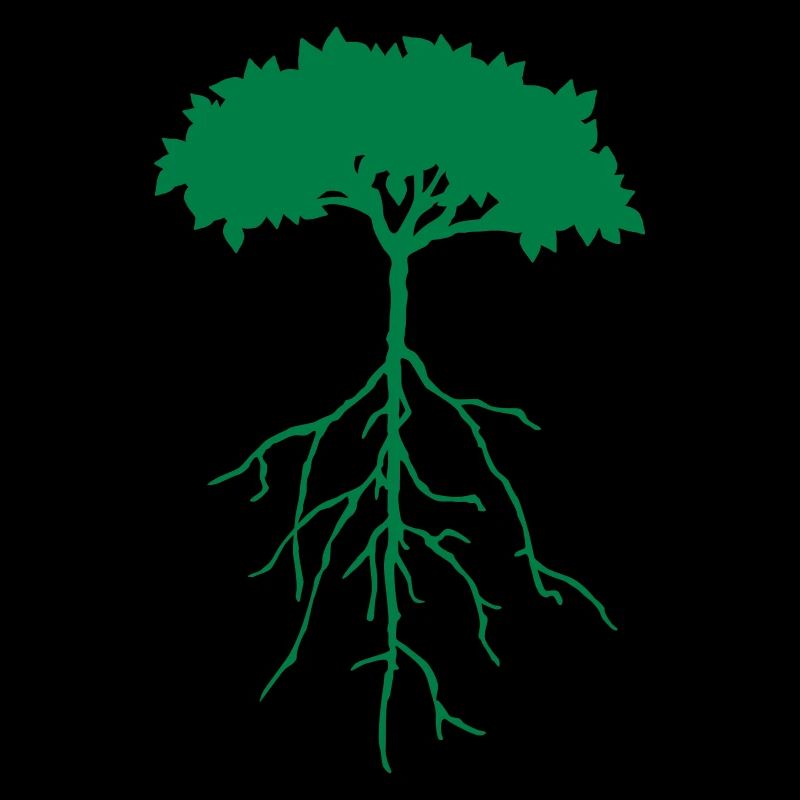 root tree
