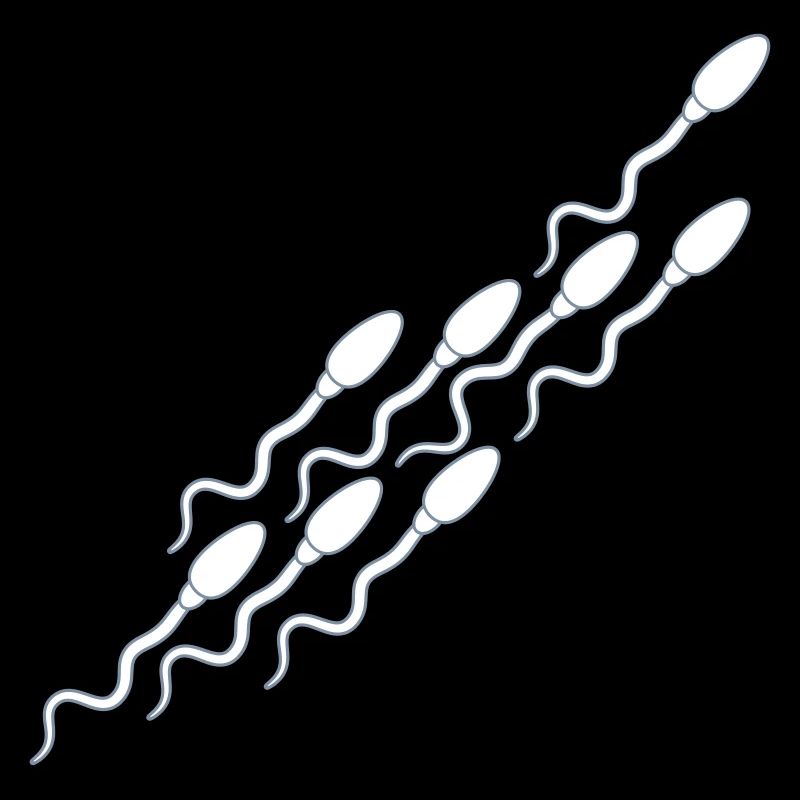 modèle sperme sperme enceinte sperme éjaculation